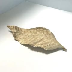 木製 葉っぱモチーフ オブジェ ナチュラルインテリア 彫刻 置物　一点物のサムネイル