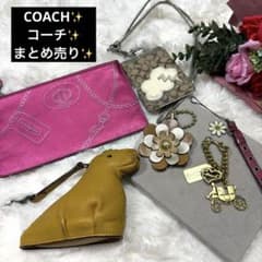 豪華 COACH コーチ まとめ売り キーホルダー レザーチャーム レキシー
