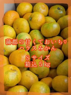 蒲郡の甘くておいちい♡ハウスみかん♡Ｓサイズ♡箱込５kg♡ 蒲郡の甘くておいちい♡ハウスみかん♡Sサイズ♡箱込5kg♡ - メルカリ