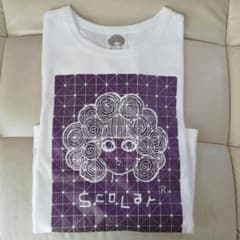 新品　スカラー　七分丈カットソーのサムネイル