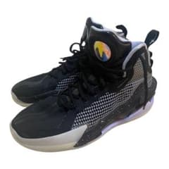 【しんさん様専用】NIKE バッシュのサムネイル