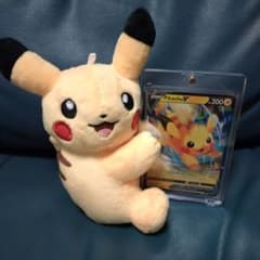 피카츄 봉제인형과 Pikachu V 카드