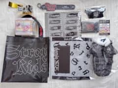 StrayKids アプグレ未開封一式 + メモボックスのサムネイル