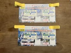ナガシマスパーランドパスポート2枚セットのサムネイル