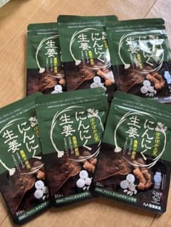 健康家族 にんにく生姜 低臭加工 31粒入　×６袋のサムネイル