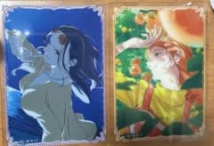 ワンピース　イラストレーションワークス　クリアカード　ロビン　ナミのサムネイル