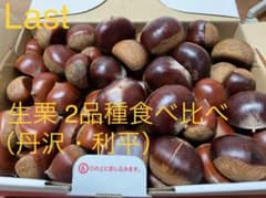 和栗1.5kg　2品種食べ比べ　丹沢・利平のサムネイル