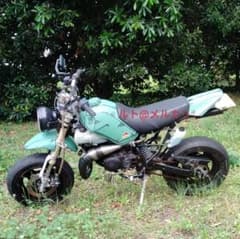 m70491249429_1.jpg?1717069957
