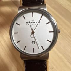 SKAGEN DENMARK 腕時計　351 XLSLのサムネイル
