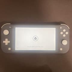 Nintendo Switch Lite グレー 本体のサムネイル