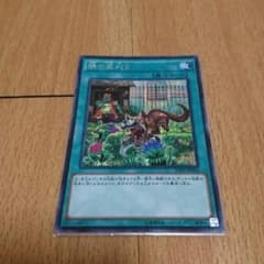 遊戯王 隣の芝刈り シクのサムネイル