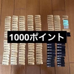 SAVAS ザバス ポイント プロテイン 1000ポイントのサムネイル