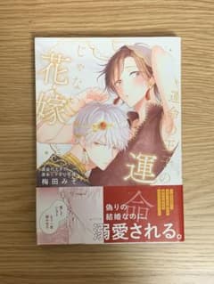 運命の王子の運命じゃない花嫁のサムネイル