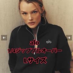 alo 1/4ジッププルオーバー トレーナー パーカー ユニセックス メンズ L alo 1/4ジッププルオーバー トレーナー パーカー ユニセックス メンズ