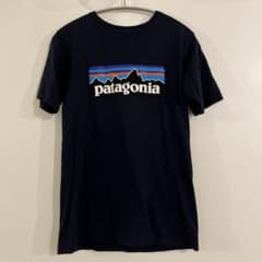 Patagonia Tシャツ　レディースS相当のサムネイル