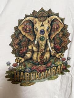 ハルカミライ バンドTシャツ XLのサムネイル