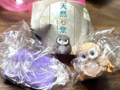 天然石堂〜ふくろう〜のサムネイル
