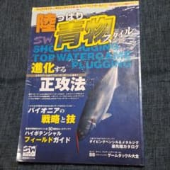 陸っぱり青物スタイル : 進化する正攻法 : エキスパートのアプローチパターン…のサムネイル