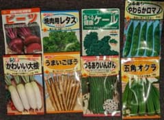 春まき　野菜の種8種類　おまけ2種付きのサムネイル