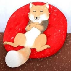 ymi◇プロフ必読様専用のサムネイル