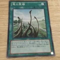 竜の霊廟 スーパーのサムネイル
