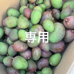 摘果マンゴー　　12kg箱込み 摘果マンゴー12kg - メルカリ