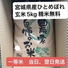 玄米10kg（5kg×2袋） 精米無料 即購入可令和7年宮城県産ひとめぼれ一等 