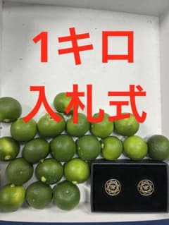 タ*ダ様 ハウススダチ　家庭用　1キロ 入札式のサムネイル