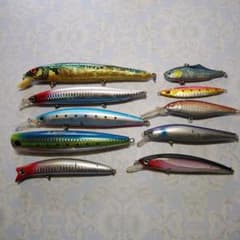 m70521646007_1.jpg?1725121011