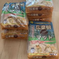 広葉樹マットのサムネイル