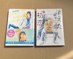 ハニーレモンソーダ 消えた初恋 小説のサムネイル