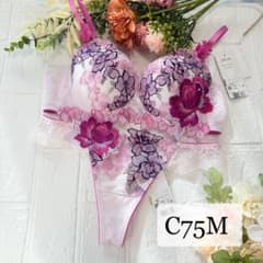 新品】wacoal サルート 06 ブラ ソングセット C75M PU - メルカリ