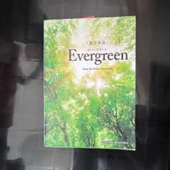 総合英語 Evergreen 英文法 学習参考書　書き込みなしのサムネイル