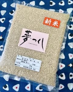新米・令和8年】福岡県産 夢つくし玄米 10kg (2kg×5袋）真空パック