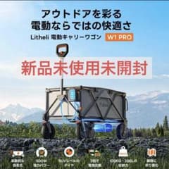 Litheli ライテリ 電動キャリーワゴン W1 Proのサムネイル