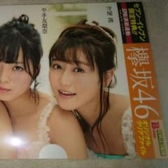 欅坂46 オリジナルクリアファイルBのサムネイル