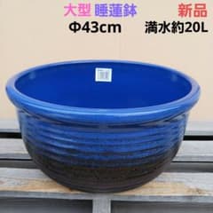 新品　∅50　特大　陶器　睡蓮鉢　手造り　メダカ鉢　難有　ラピスブルー　青LDB 新品 大型 ∅43 陶器 睡蓮鉢 メダカ鉢 手造り ラピスブルー 濃紺 MDB①