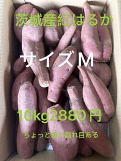 【ひまわり】紅はるかMサイズ50kg13000円 ひまわり様専用】紅はるかMサイズ50kg13000円 - メルカリ