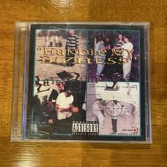 激レア皿chicano rap Latin Bomb Squadな入手困難 - メルカリ