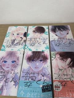 お姉ちゃんの翠くん 2巻〜7巻 セットのサムネイル