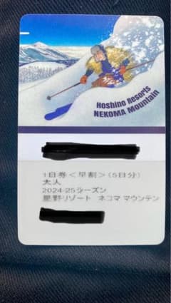 値下げ星野リゾート ネコママウンテン １日券×４回分 24-25シーズンリフト券のサムネイル