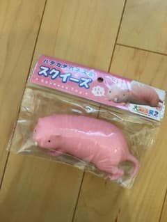 ハダカデバネズミ　スクイーズ　大哺乳類展のサムネイル