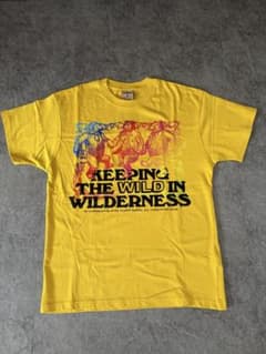 NIKE ACG Tシャツ イエロー メンズMサイズ 新品のサムネイル