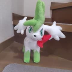 ポケモン シェイミ スカイフォルム ぬいぐるみ - メルカリ