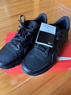 美品/未使用　ナイキ エア マックス SC LEAのサムネイル