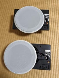 m70551506417_1.jpg?1691951813