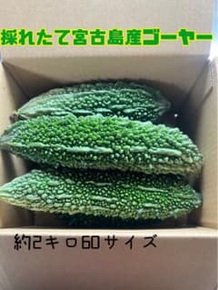 採れたて宮古島産ゴーヤー＊ - メルカリ