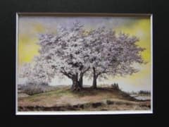 杉本秀子、【春栄】、希少画集画より、状態良好、新品高級額装付 杉本秀子、【春栄】、希少な額装用画集より、美品、新品額装付 - メルカリ
