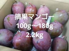 摘果マンゴー グリーンマンゴー 青マンゴー 2.2kg 180g以上 - メルカリ