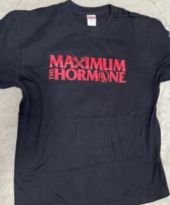 ホルモン　Tシャツ　Ｌサイズ　美品のサムネイル